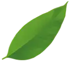 footer-leafs-1