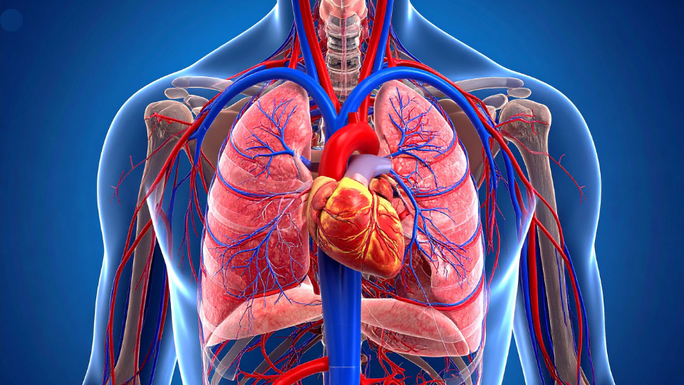 Clear Breathing Naturally. Why Homeopathic Respiratory Care is Superior