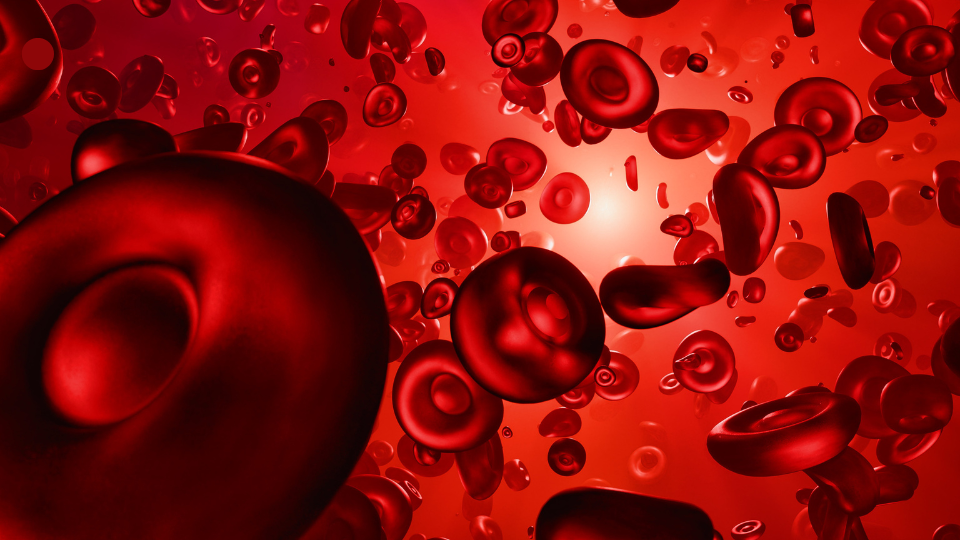 Overcoming Anemia Naturally How Herbomineral Care Builds Healthy Blood